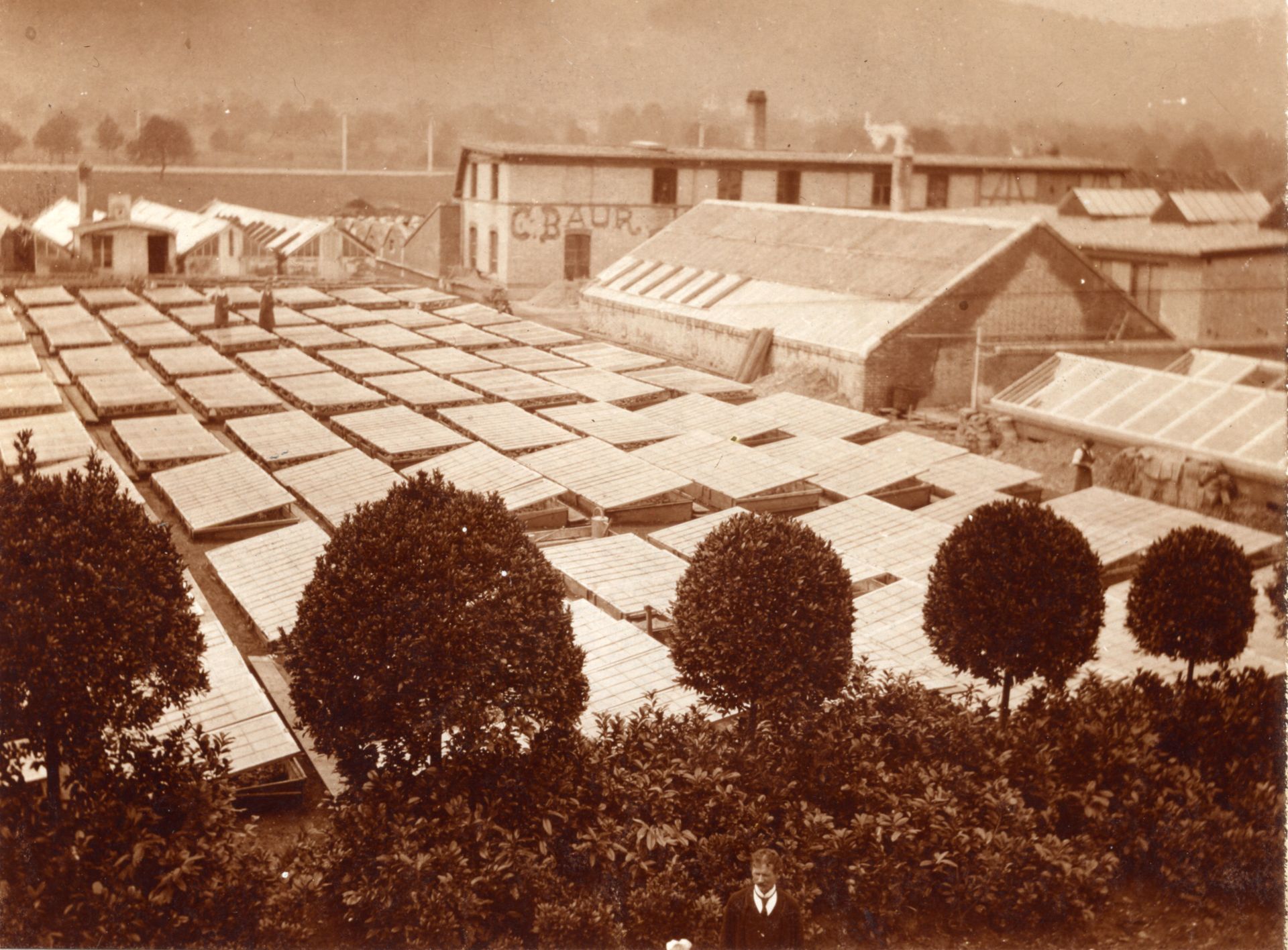 Albisrieden, Ökonomiegebäude mit Büro, Schlafräumen und Gewächshaus